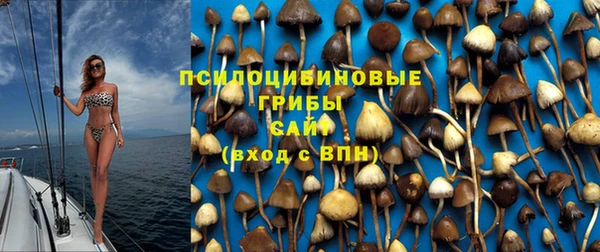 сатива Протвино